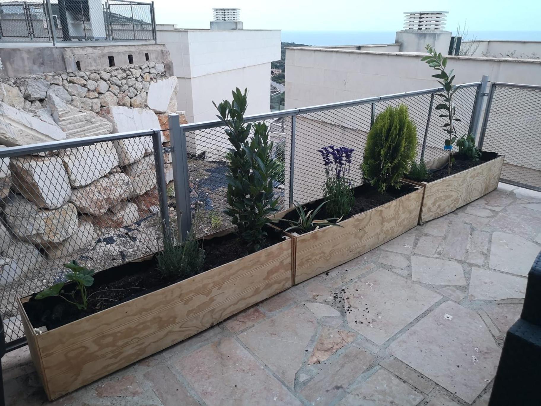 La Casa Del Mirlo Azul - Peniscola Lägenhet Exteriör bild